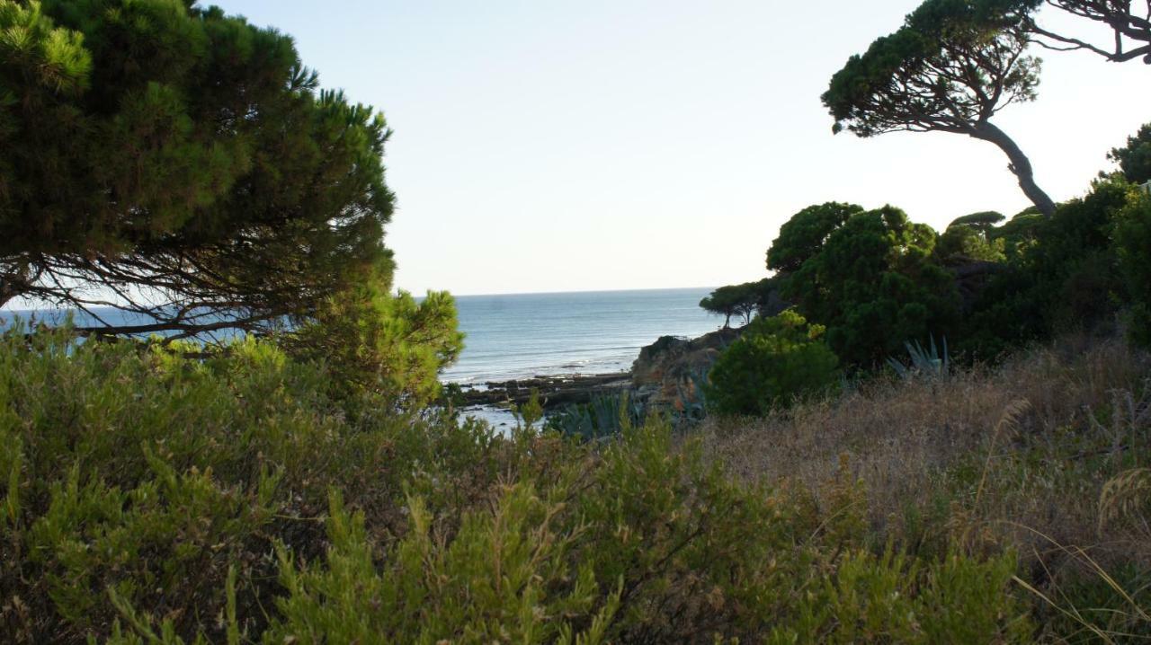 Luxurious T2 Apartment, Olhos Dagua Albufeira Dış mekan fotoğraf